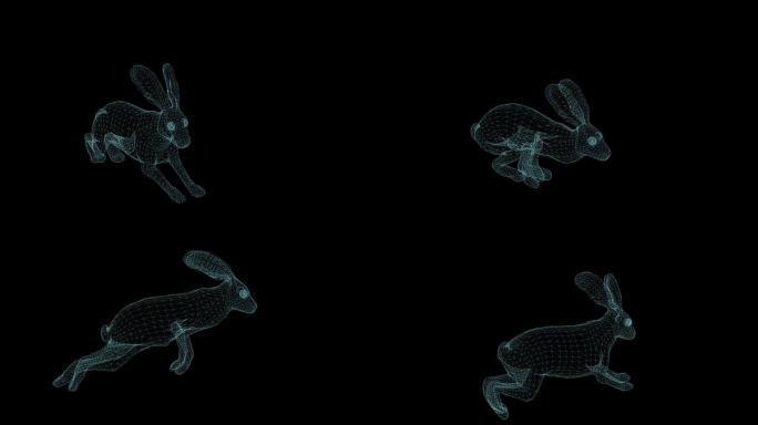 黑底奔跑的兔子线框动画