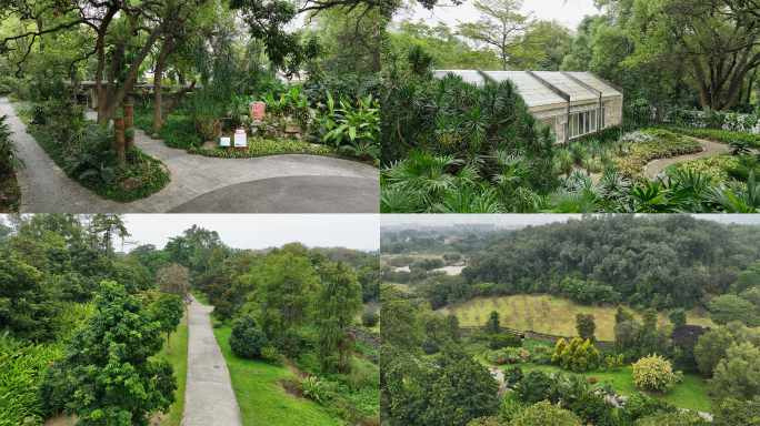 4K航拍华南植物园