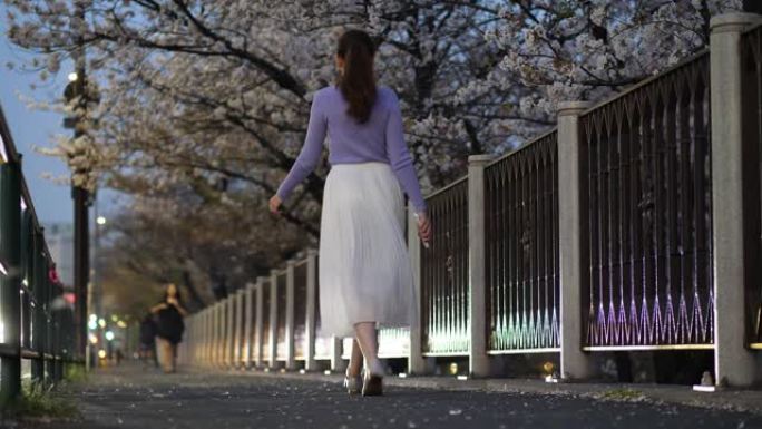 旅游女人走过人行道，白色花瓣从行驶中的汽车在空中飞舞