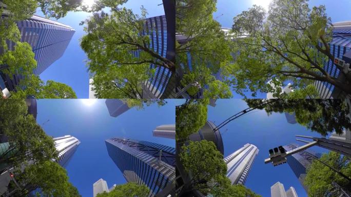 商业区摩天大楼/绿树/仰望天空
