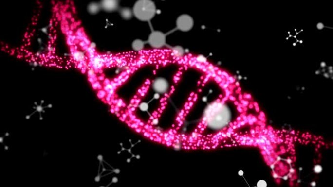 黑色背景上漂浮的分子和化学元素和紫色DNA菌株的动画