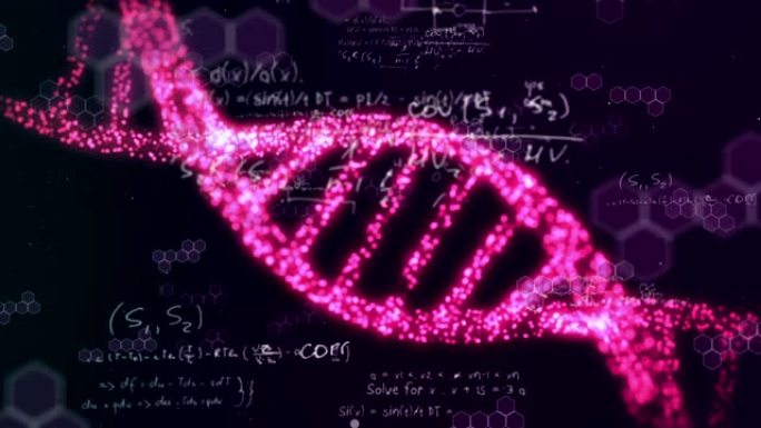 在数学方程式上由粉红色点组成的DNA菌株的动画