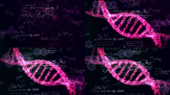 在数学方程式上由粉红色点组成的DNA菌株的动画