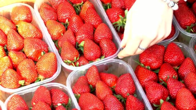 草莓作物绿色有机新鲜水果特写镜头