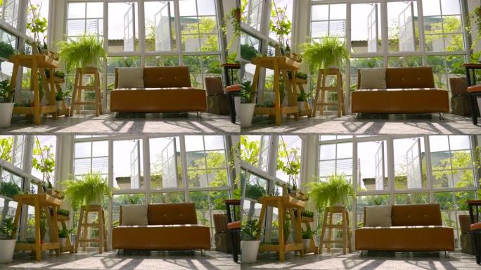 场景多莉拍摄室内现代住宅与小花园，在温室小花园放松，绿色概念