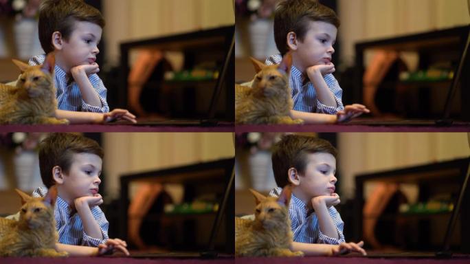有趣的孩子和小猫在家里用笔记本电脑