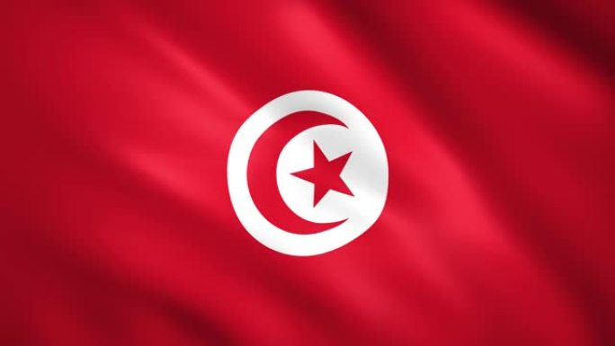 突尼斯国旗在风中飘扬