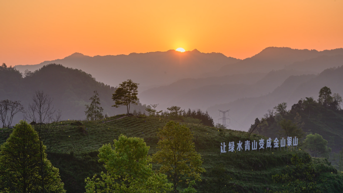 唯美壮观高山茶园日出群山大气风光延时素材