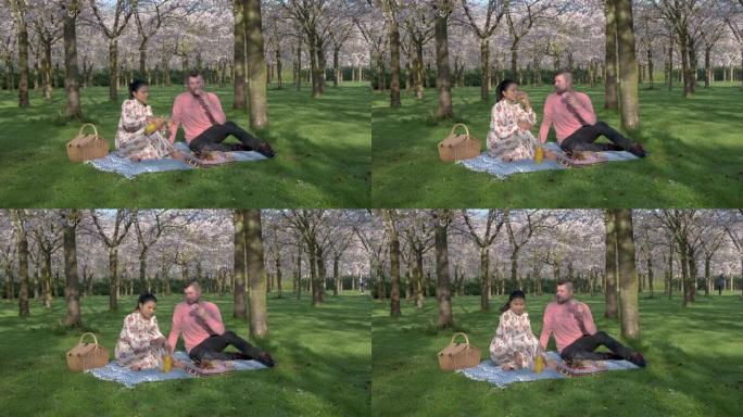 夫妇在公园里野餐在盛开的春天树下，粉红色的日本樱花花园在阿姆斯特丹盛开。布鲁姆公园-阿姆斯特丹森林