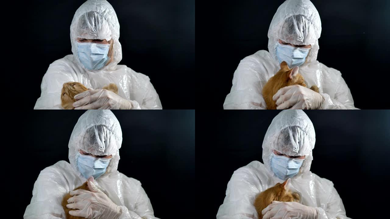 冠状病毒大流行期间，穿着西装和口罩的兽医在手术前安抚红猫