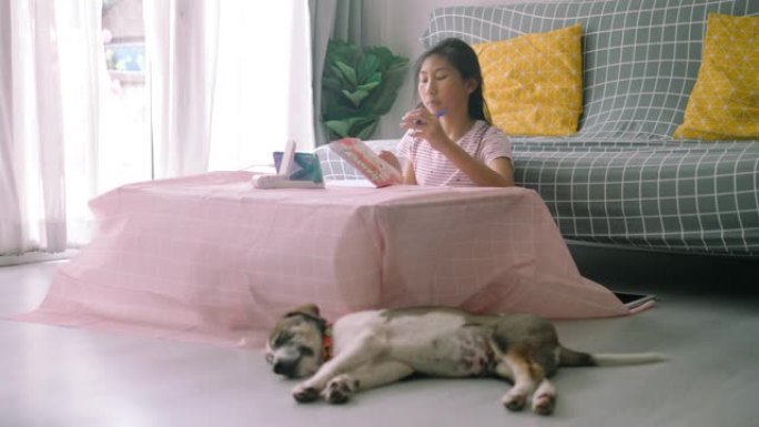小狗睡在办公桌前，而女孩在家在线学习家庭教育，检疫生活方式的概念。