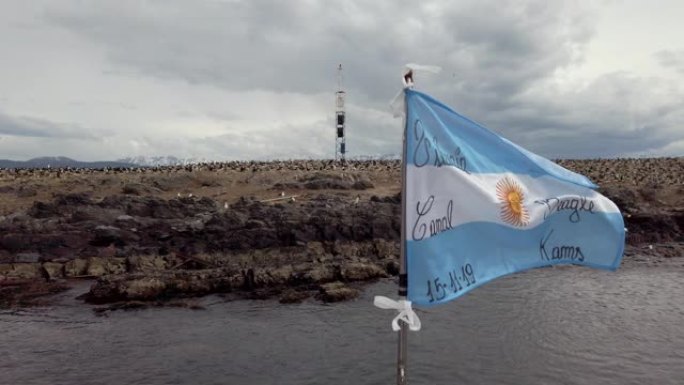 阿根廷国旗与巴塔哥尼亚乌斯怀亚附近的许多帝国粗毛的慢动作视频