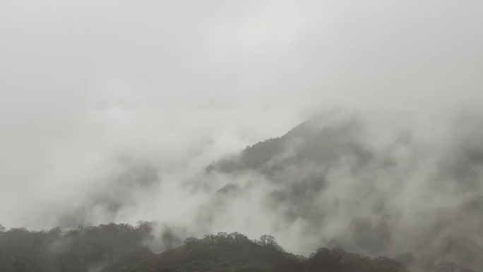 云雾缭绕的仙境