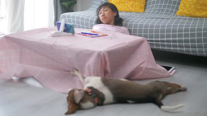 小狗睡在办公桌前，而女孩在家在线学习家庭教育，检疫生活方式的概念。