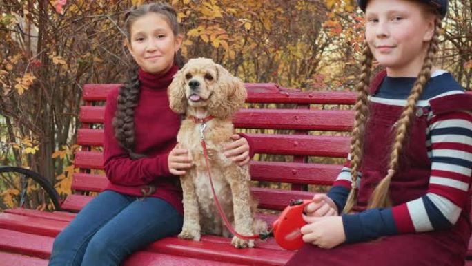 十几岁的女孩朋友和可卡犬坐在秋天公园的长凳上。两个快乐的女孩在秋天散步时在公园的长凳上抚摸狗。