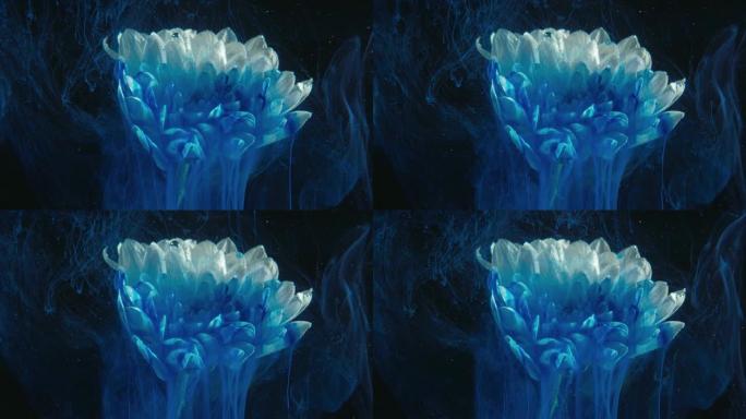花卉水墨艺术幻影蓝雾运动花瓣