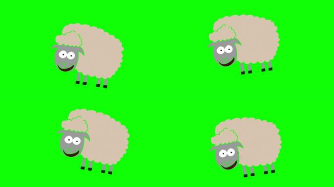 绵羊手绘绿色屏幕。浮动循环动画