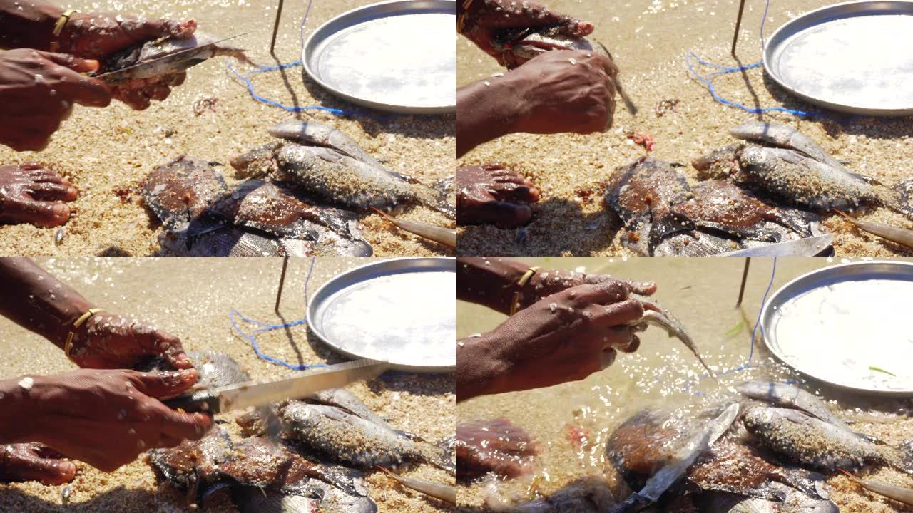 当地的马达加斯加渔民在海滩上清理刚捕到的鱼，详细描述了手和刀切鱼和去除内脏的细节