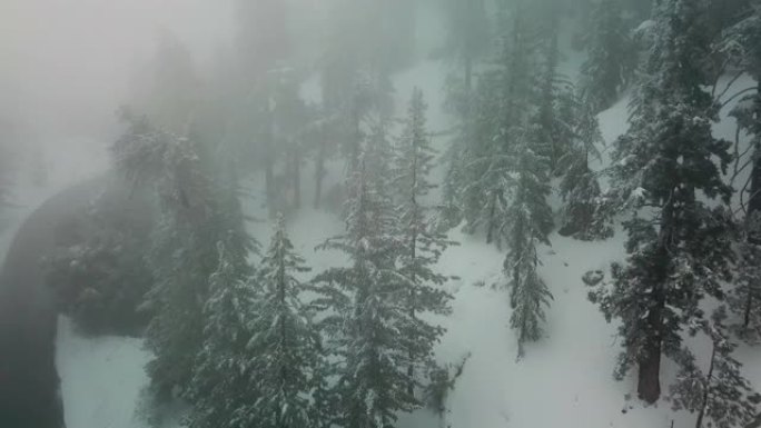 森林空中无人机中的冬季山雾