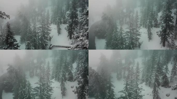 森林空中无人机中的冬季山雾
