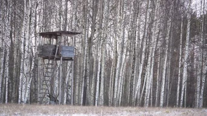 爱沙尼亚狩猎瞭望塔的景色
