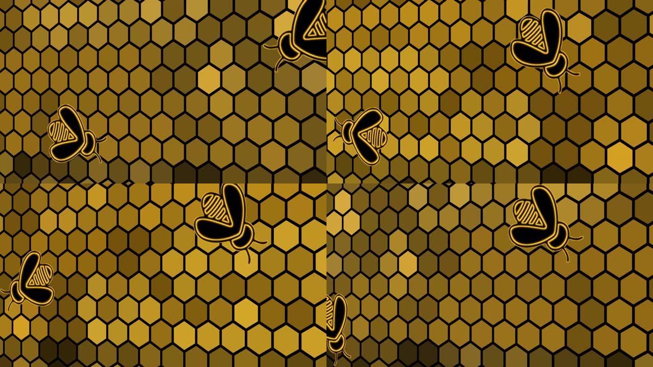 蜜蜂的蜂巢，概述了肺泡动画