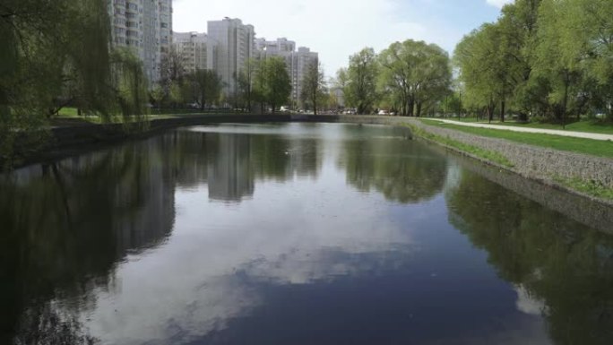 公园里的一个小湖