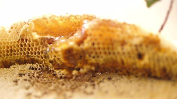 来自大自然的新鲜蜂窝上的蜂蜜特写