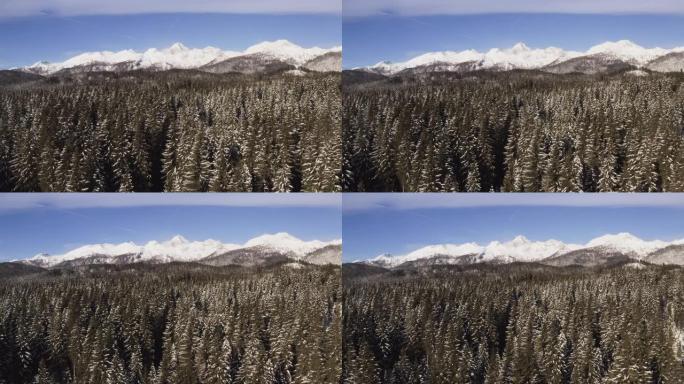 斯洛文尼亚最高峰的空中射击，特里格拉夫 (Triglav)，揭示了在斯洛文尼亚波克朱卡 (Poklj