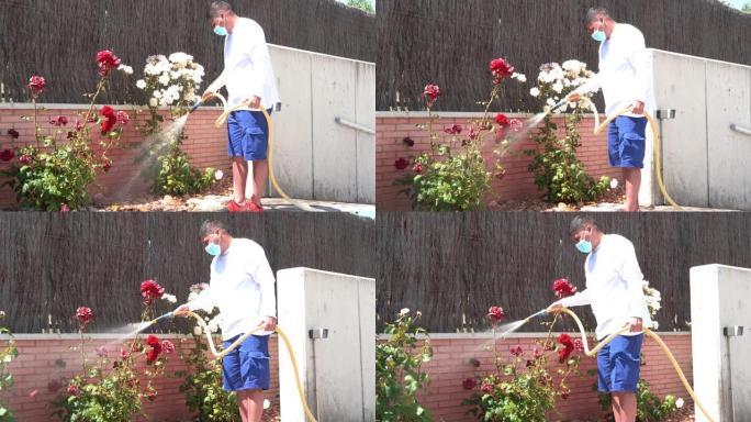 维修人员给玫瑰花丛浇水