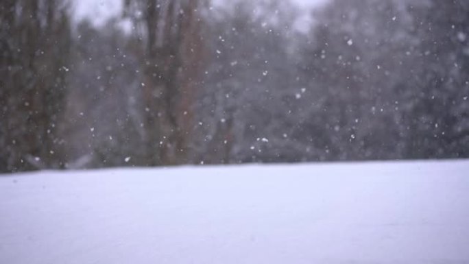 正在下雪，慢慢落下的薄片