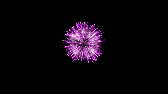 firework_24