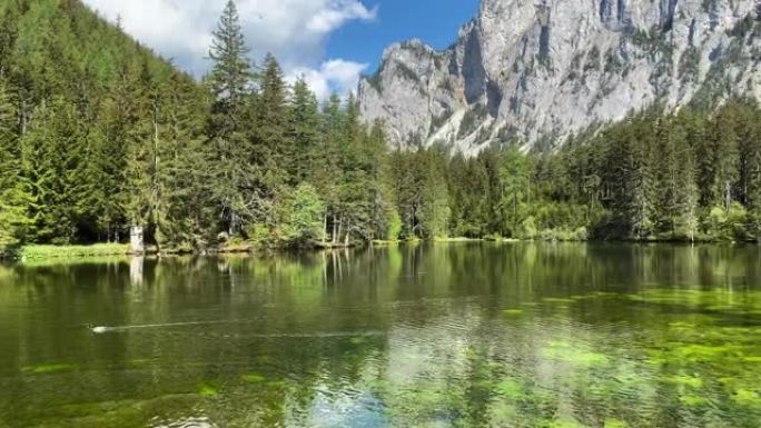奥地利绿色湖湖水山脉森林