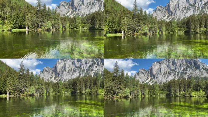 奥地利绿色湖湖水山脉森林