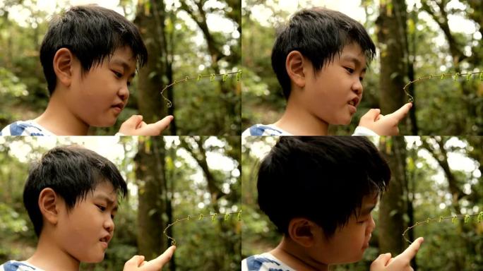 小男孩在森林中触摸植物的拍摄