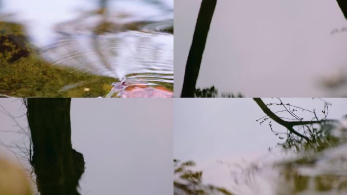 小溪流水倒影特写风景视频素材