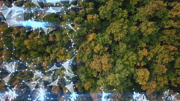演示背景结合了森林的无人机镜头和最前沿的抽象丛网格。