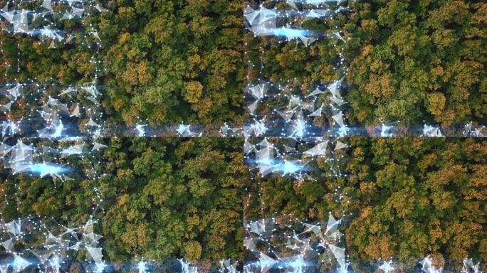 演示背景结合了森林的无人机镜头和最前沿的抽象丛网格。