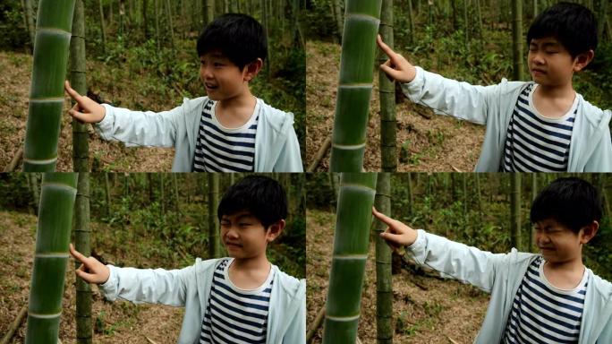 小男孩在蚊子叮咬时在竹子上画画