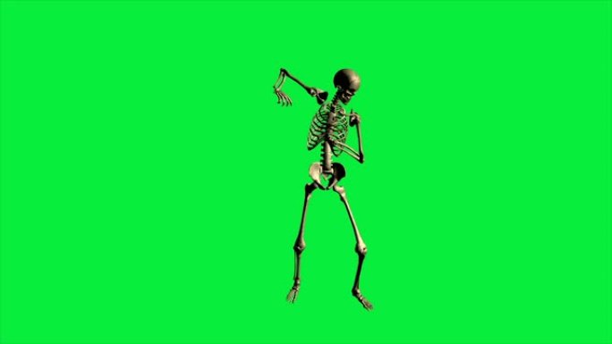 骨架刺刀钻的3d动画-在绿色屏幕上分开。