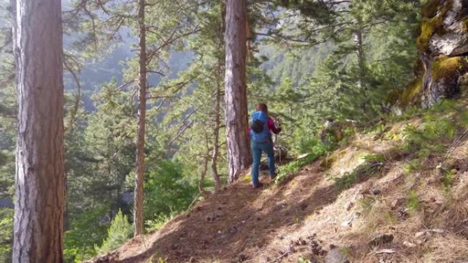 女高山登山者在山林中行走