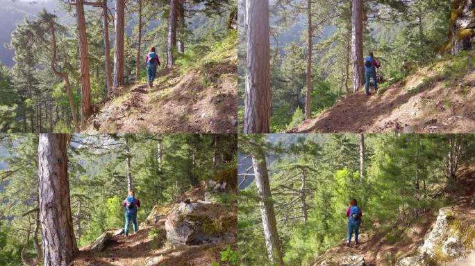 女高山登山者在山林中行走