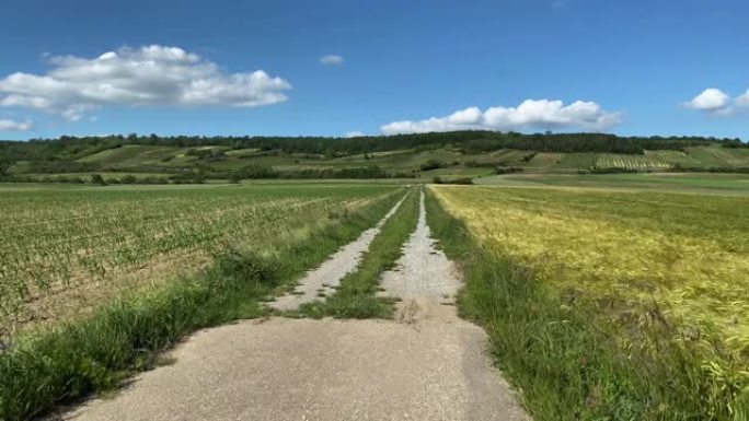 乡村道路农业宣传片田间地头三农