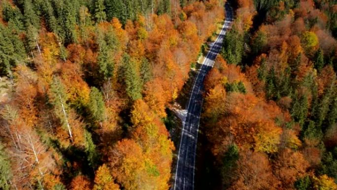 在绿色，橙色和红色调的明亮树木中飞越空旷的秋天道路