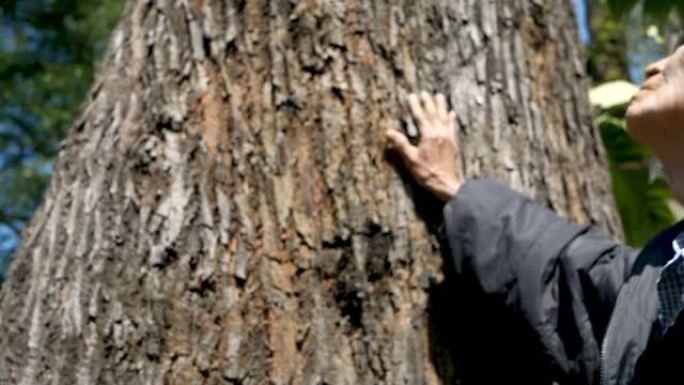 亚洲高级男子接触自然背景温和的树。拯救世界环境的概念。