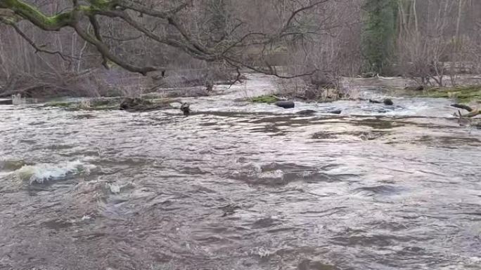 英国乡村景观中的野生水急流