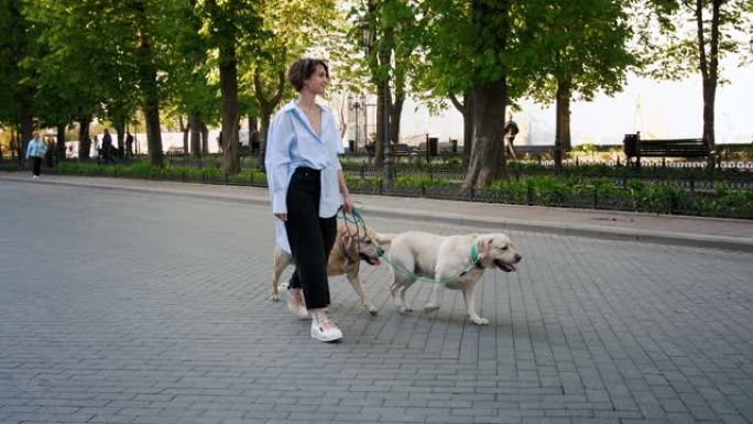 年轻时尚的时髦女孩和两只猎犬在市中心公园散步，慢动作