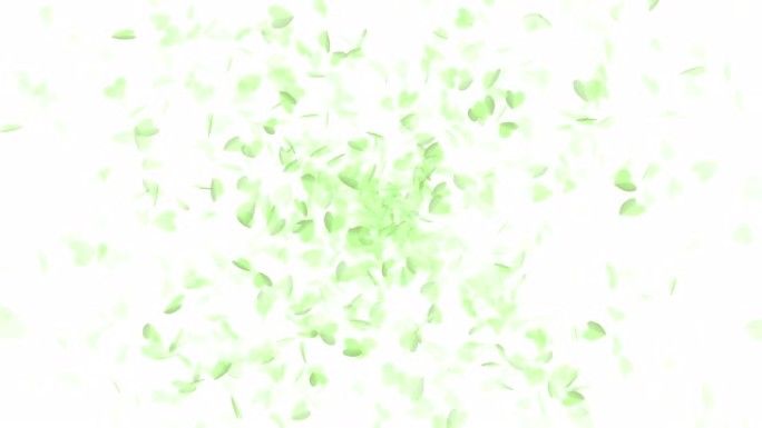 绿纸心环爆炸。