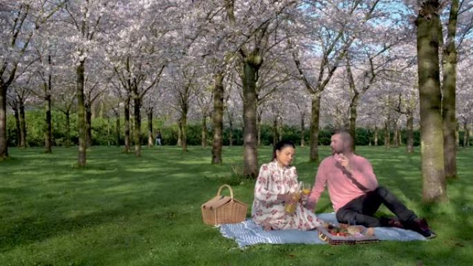 夫妇在公园里野餐在盛开的春天树下，粉红色的日本樱花花园在阿姆斯特丹盛开。布鲁姆公园-阿姆斯特丹森林