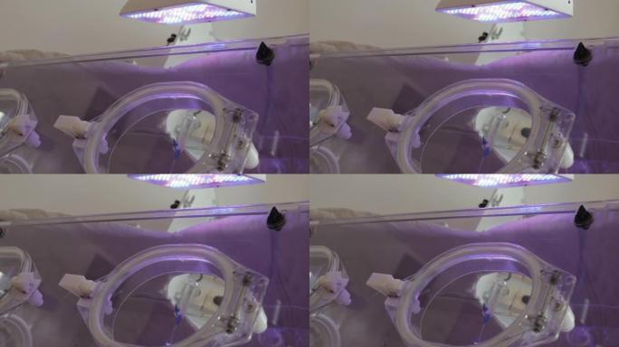 关闭培养箱窗口及其上方的灯的底视图。用滴管在培养箱上的洞。为那些生来就有健康问题的人提供现代技术。